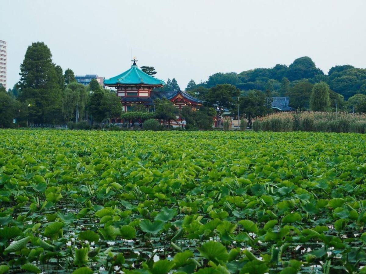 Tora Hotel Taito - Vacation Stay 53048V Tokyo Dış mekan fotoğraf